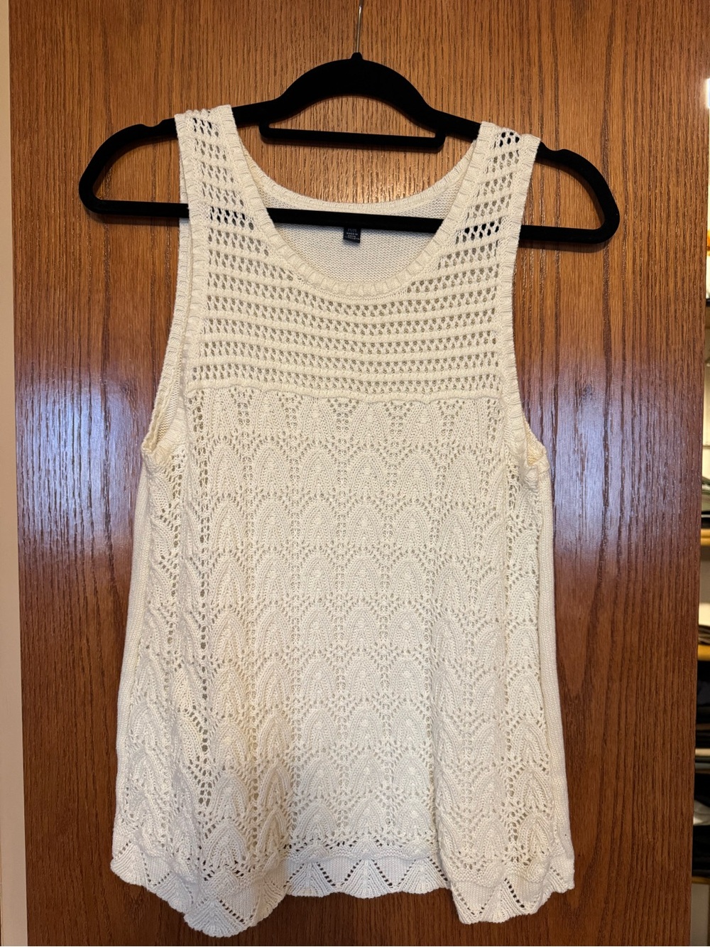 American Eagle Outfitters Cream Crochet Tank Top